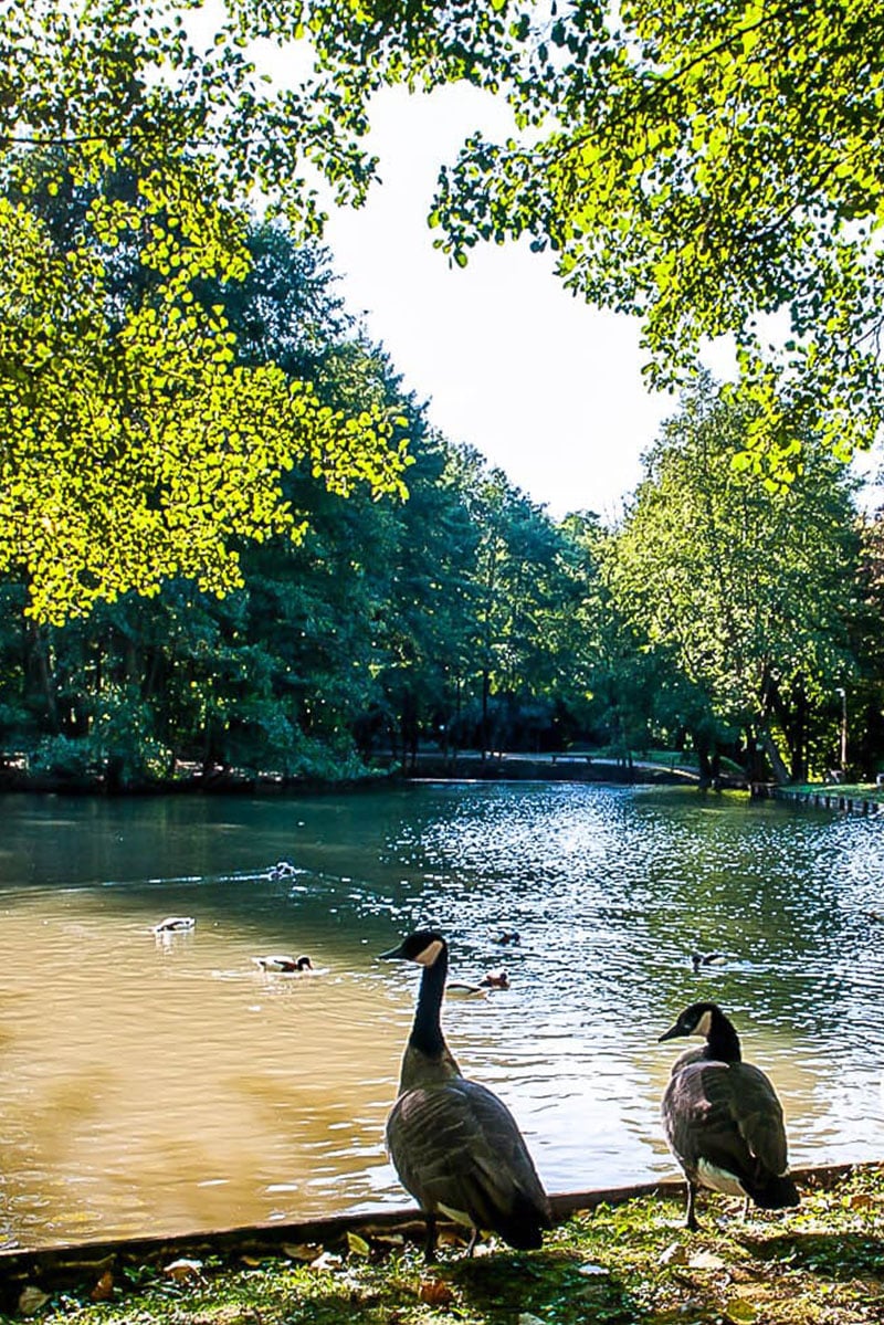 Le parc et les étangs du domaine — nature préservée en Vexin