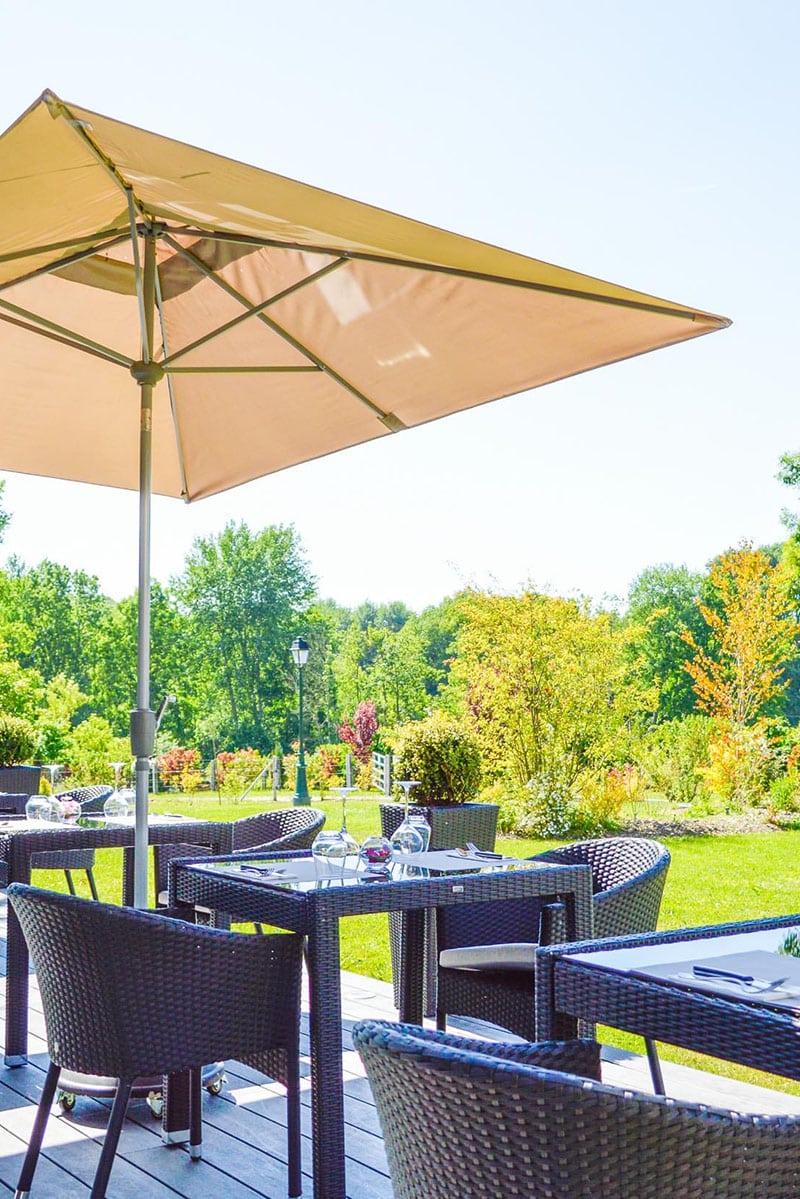 La terrasse sous les arbres centenaires