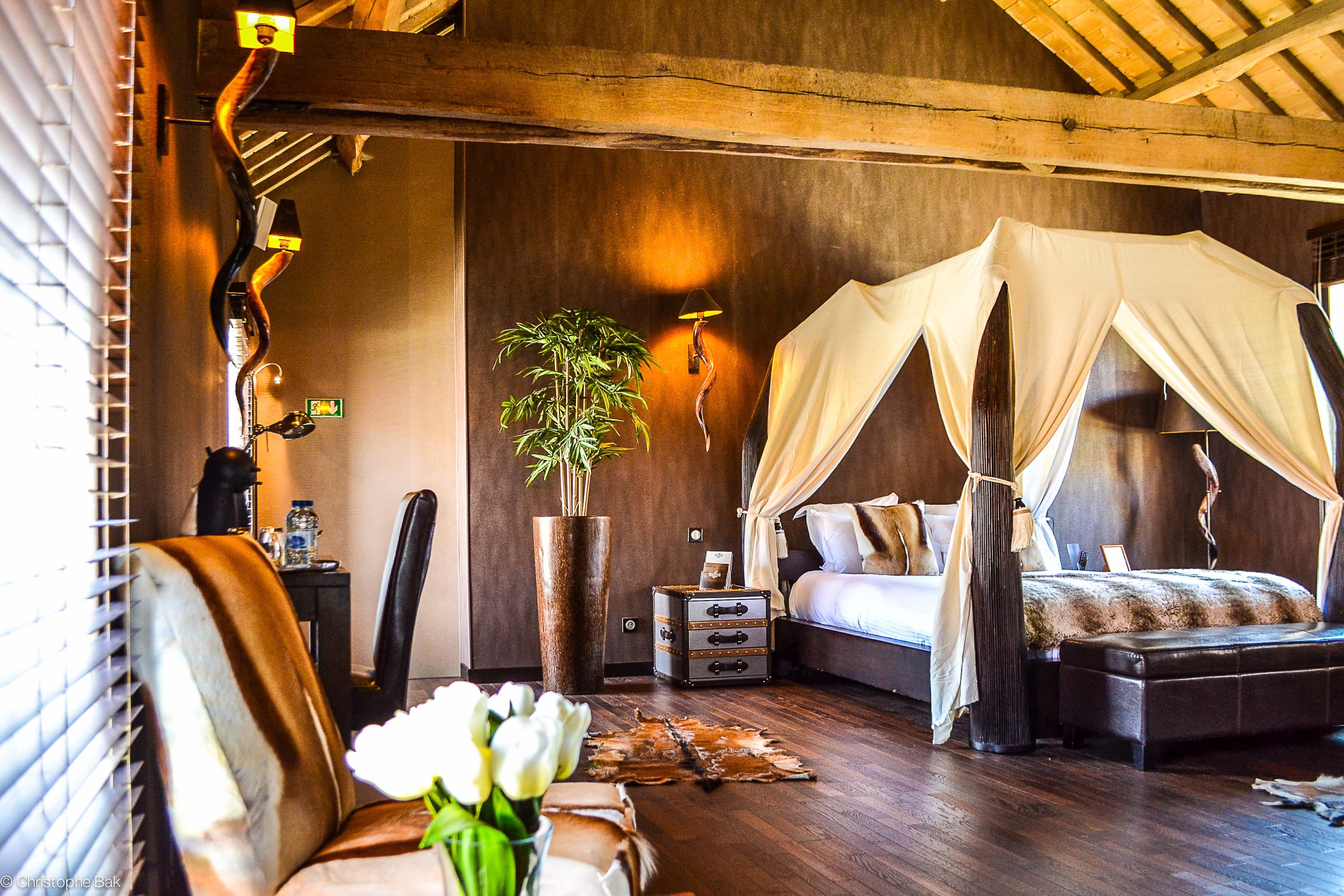Suite Lodge