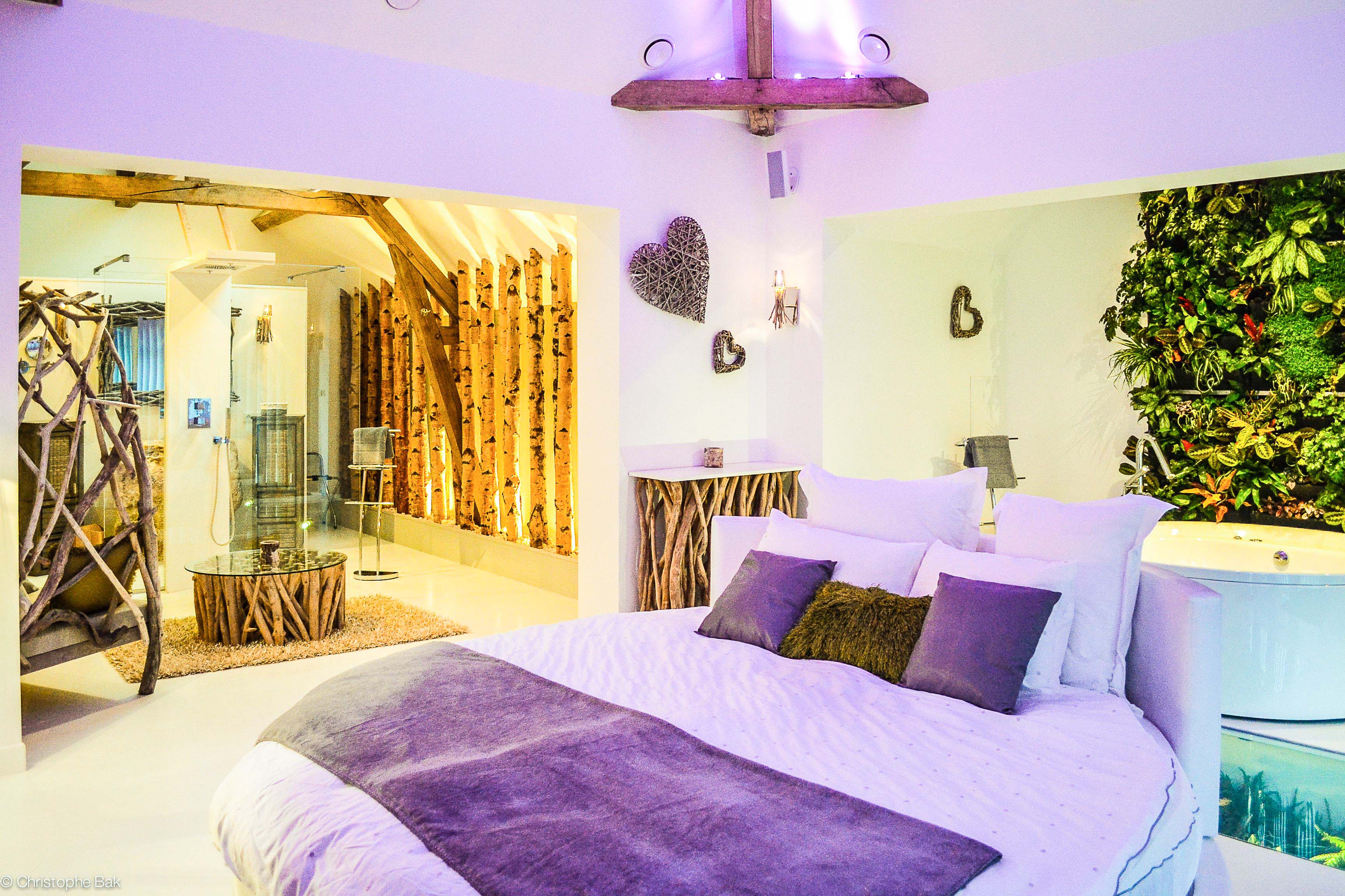 Suite nature avec jacuzzi picardie