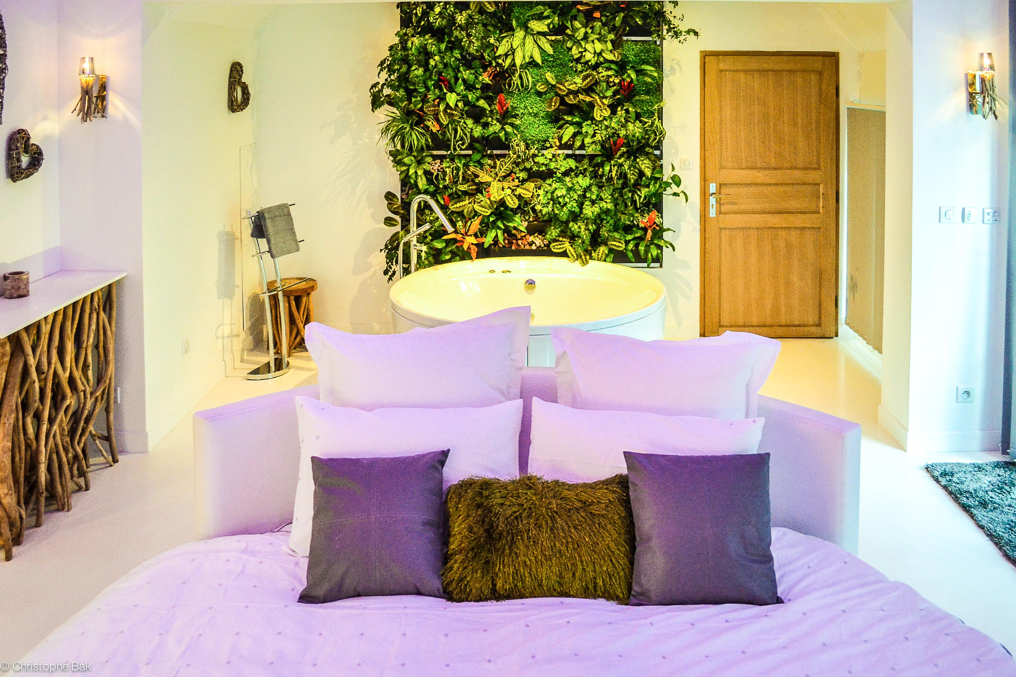 Suite nature weekend amoureux jacuzzi paris